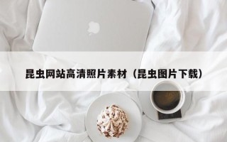 内蒙古昆虫网站高清照片素材（昆虫图片下载）